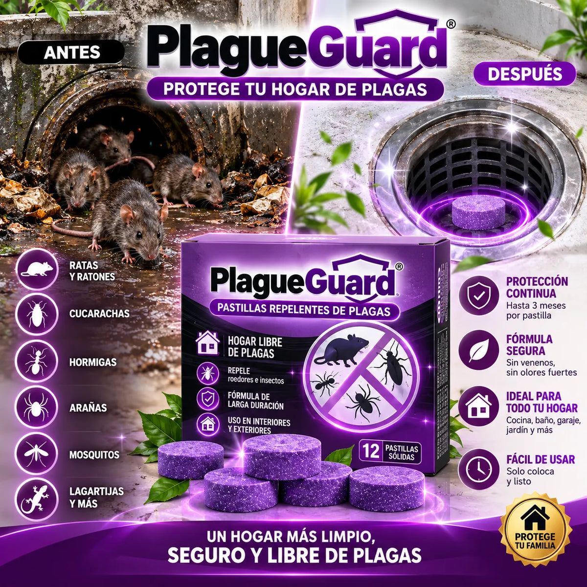 ¡Dile adiós a las Plagas y Roedores en tu hogar!