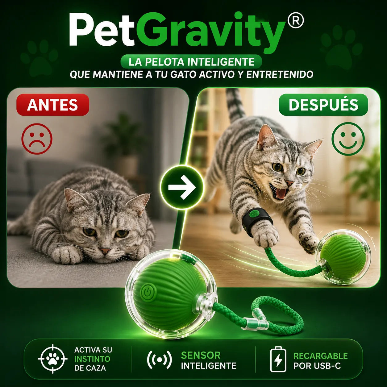 PetGravity® — ¡La pelota inteligente que mantiene a tu gato activo y entretenido!
