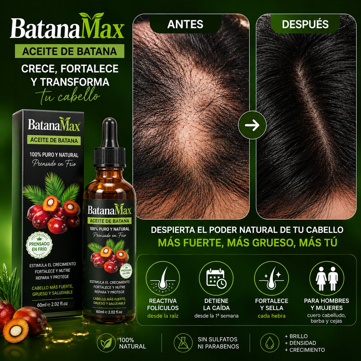 ¡Reactiva tus folículos y recupera cabello denso en 2 semanas!
